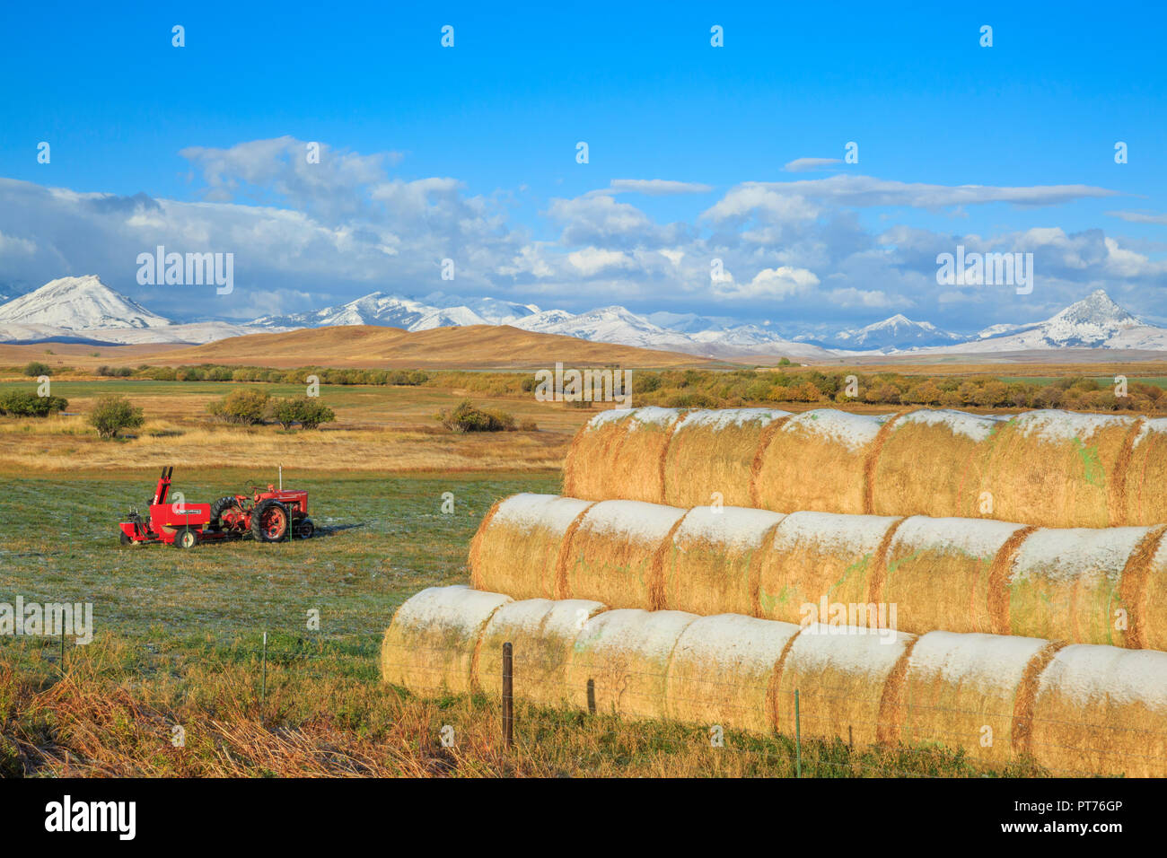 Il trattore e balle di fieno al di sotto del Rocky Mountain Front vicino a Augusta, montana Foto Stock