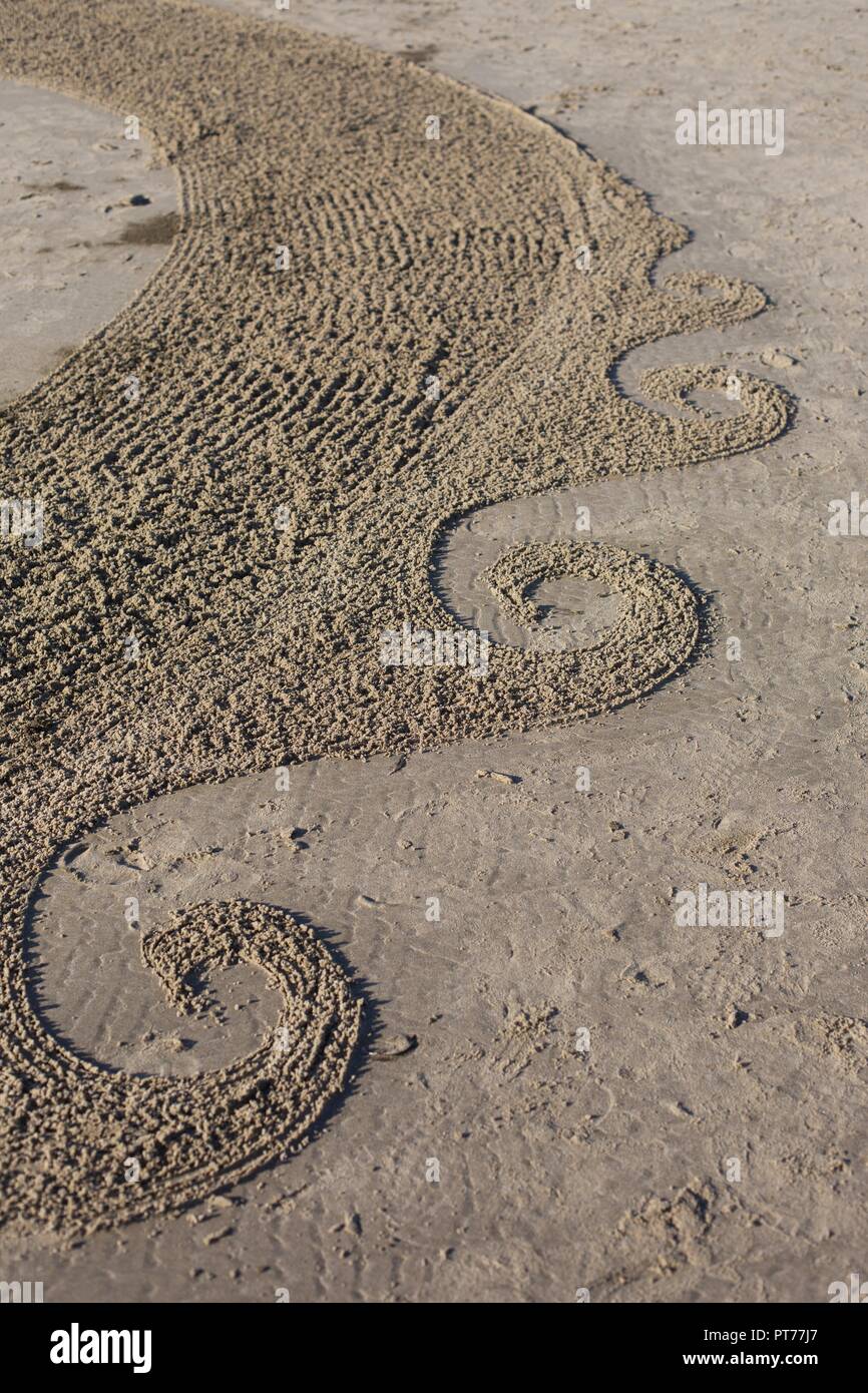 Dettaglio di un grande labirinto di sabbia creato da Denny Dyke, a Heceta Beach in Firenze, Oregon, Stati Uniti d'America. Foto Stock