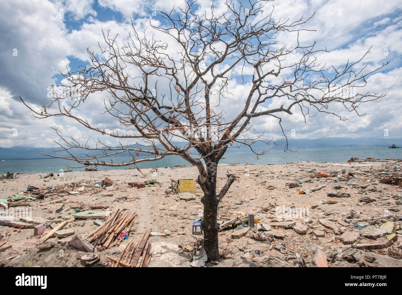 Palu, Indonesia. 7 Ott 2018. Vista generale dei danni del terremoto e dello tsunami in spiaggia Donggala a Palu. Un mortale terremoto di magnitudo 7.5 grandezza e l'onda di maremoto ha causato da essa ha distrutto la città di Palu e gran parte dell'area di Sulawesi centrale. Secondo i funzionari, morte pedaggio dal devastante terremoto e tsunami sorge a 1480, circa 800 persone negli ospedali sono gravemente feriti e circa 62.000 persone sono state sfollate in 24 campi attorno alla regione. Credito: SOPA Immagini limitata/Alamy Live News Foto Stock