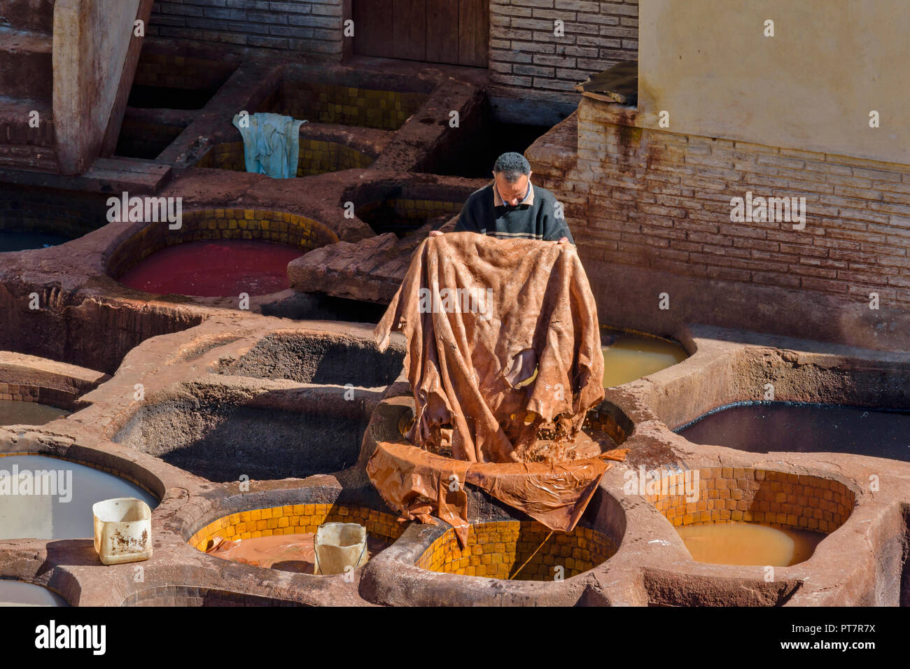 Il Marocco Marrakech conceria cuoio singolo TANNER tenendo un nascondi su tini in piastrelle di pigmenti colorati Foto Stock