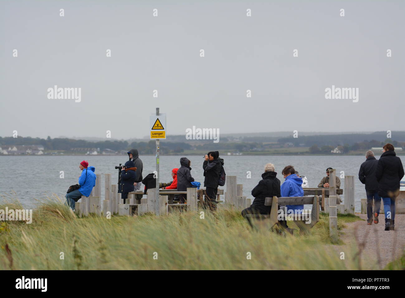 Turisti e fotografi in piedi e seduta al punto Chanonry Rosemarkie Fortrose alla ricerca di delfini e leoni marini in mare nella baia Foto Stock