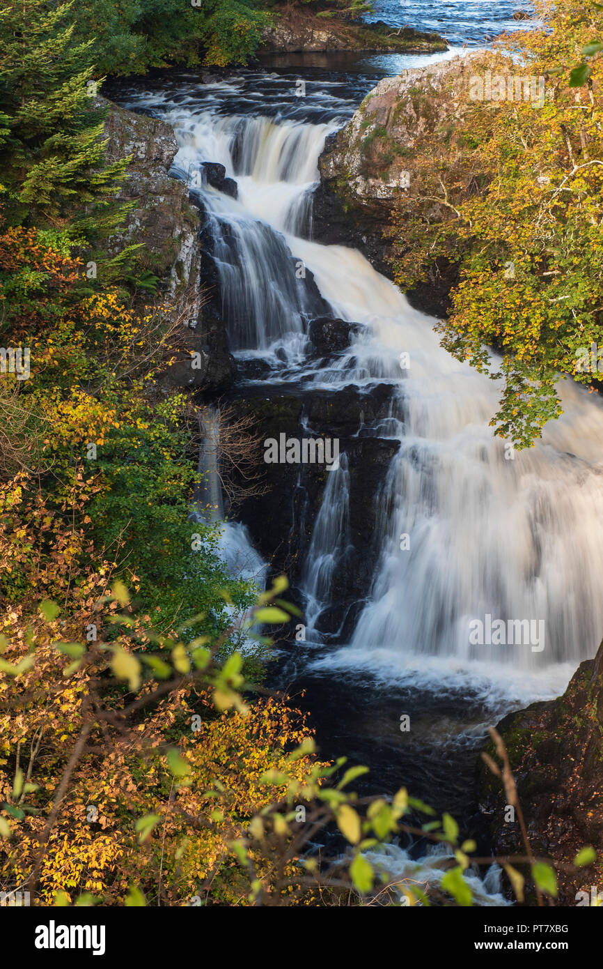 Reekie Linn cascata sul fiume Isla, al Ponte di Craigisla, Angus, Scozia. Foto Stock