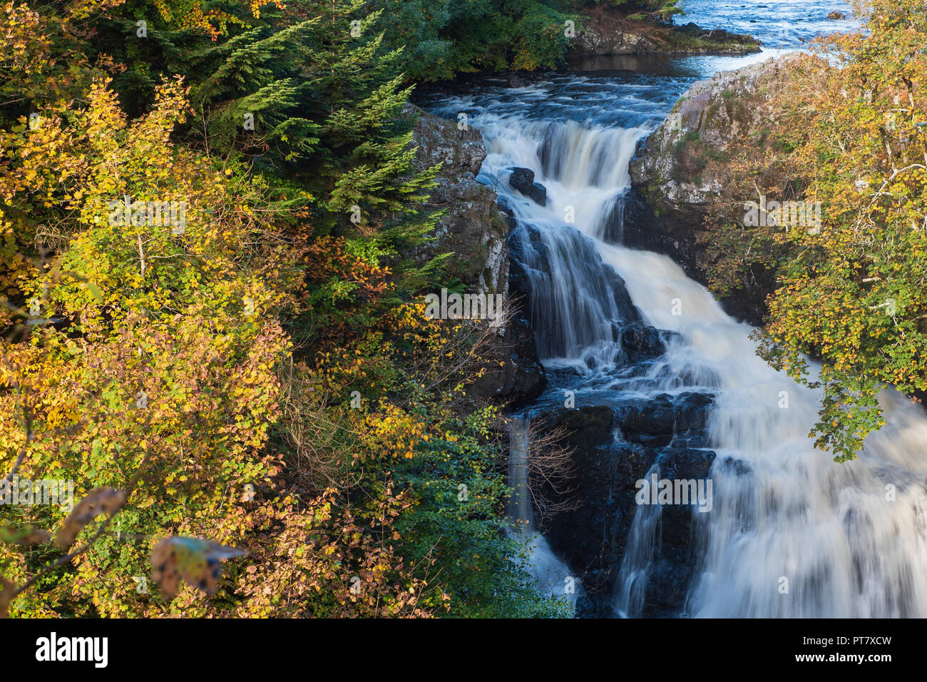 Reekie Linn cascata sul fiume Isla, al Ponte di Craigisla, Angus, Scozia. Foto Stock