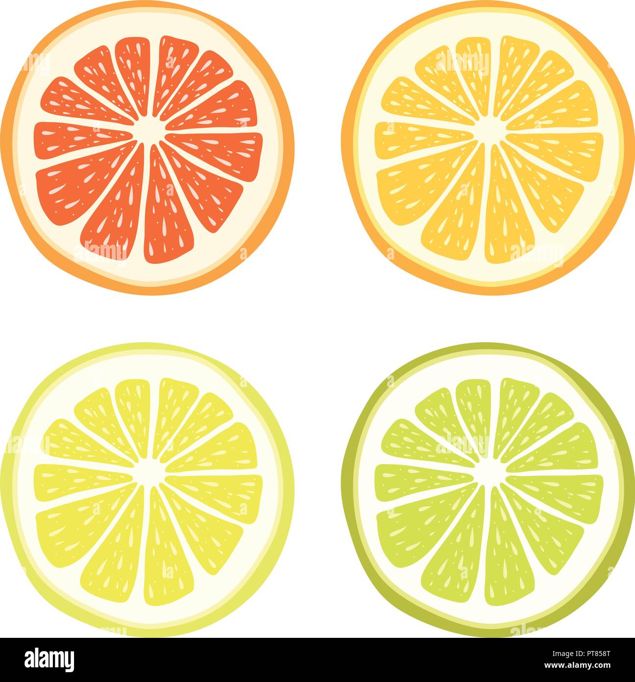 Vettore di calce, limone, pompelmo e fettine di arancia isolati su sfondo bianco. Frutta tropicali simboli, cibo organico simboli Illustrazione Vettoriale