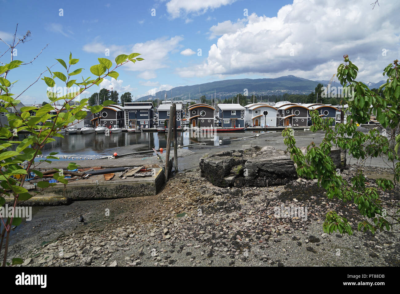 Mosquito Creek Marina case galleggianti, Vancouver, Canada Foto Stock