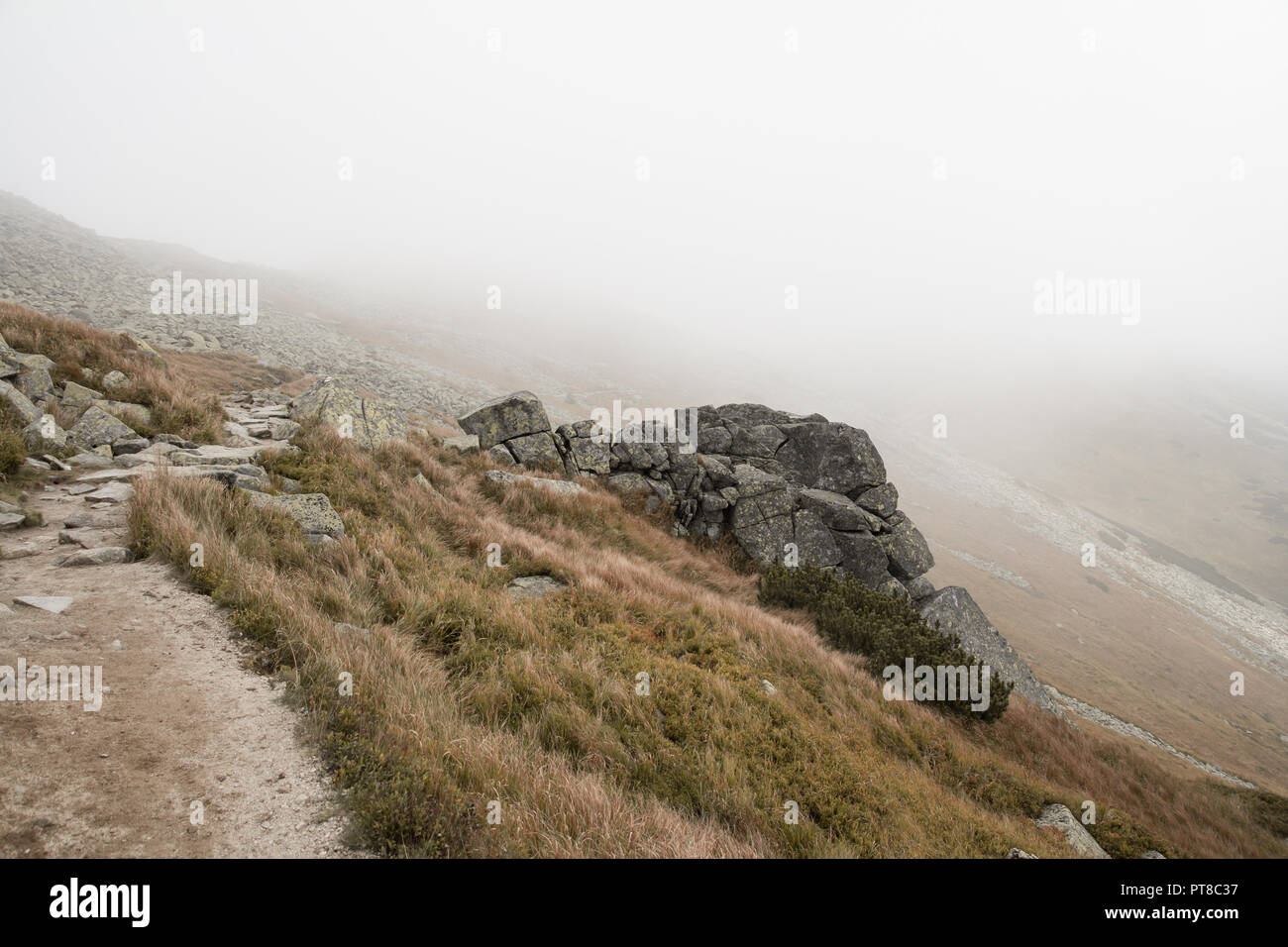 La nebbia sentiero escursionistico Foto Stock