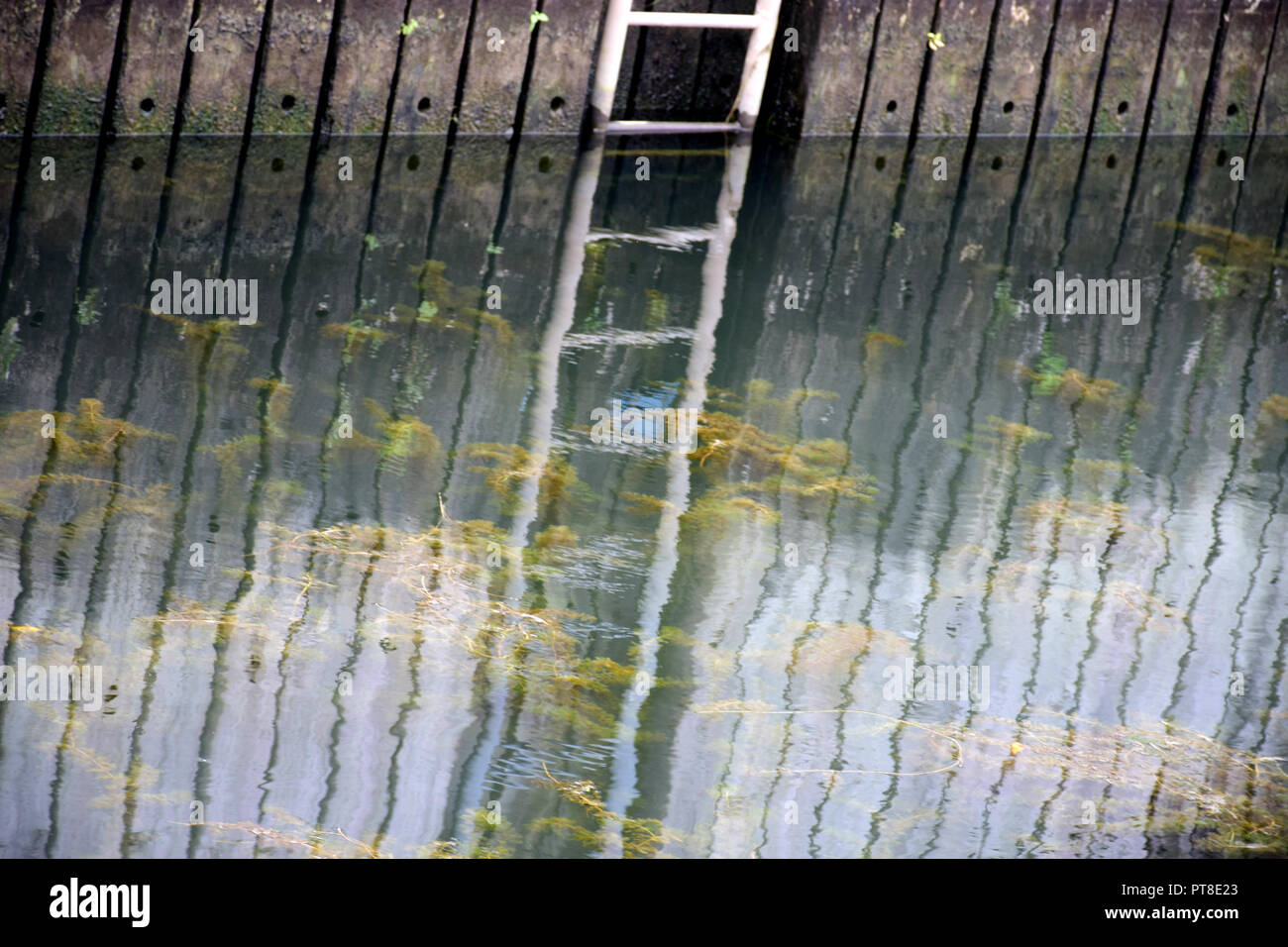 Una scala si riflette sull'acqua Foto Stock