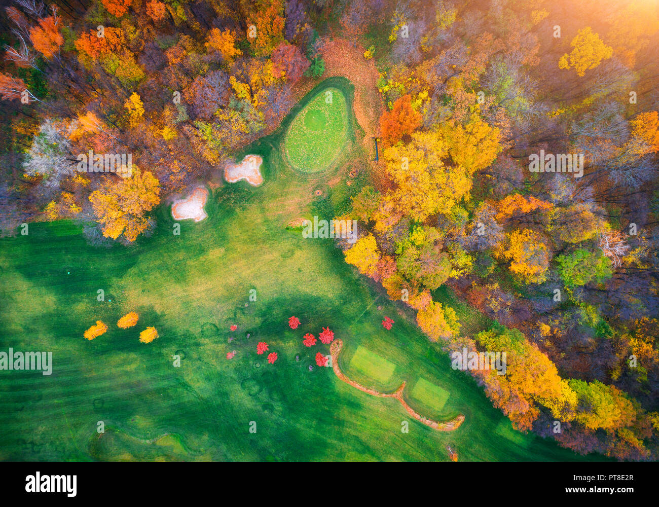 Vista aerea del fantastico parco di autunno in europa in serata. Paesaggio con alberi con foglie colorate, campo con erba verde e percorsi per l'autunno. Scen Foto Stock