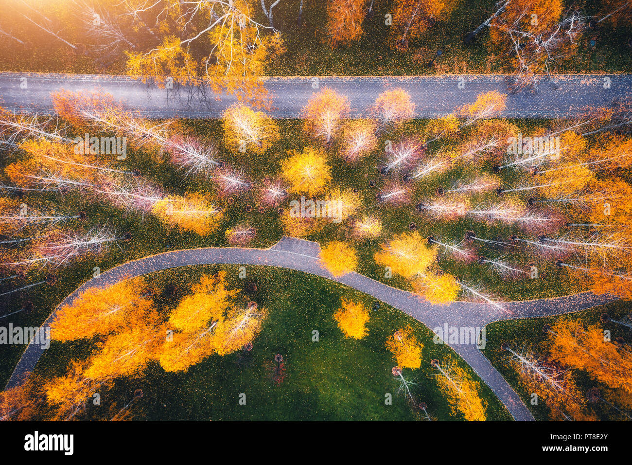 Vista aerea del fantastico parco di autunno in europa in serata. Paesaggio con alberi con foglie di giallo, campo con erba verde e percorsi per l'autunno. Scener Foto Stock