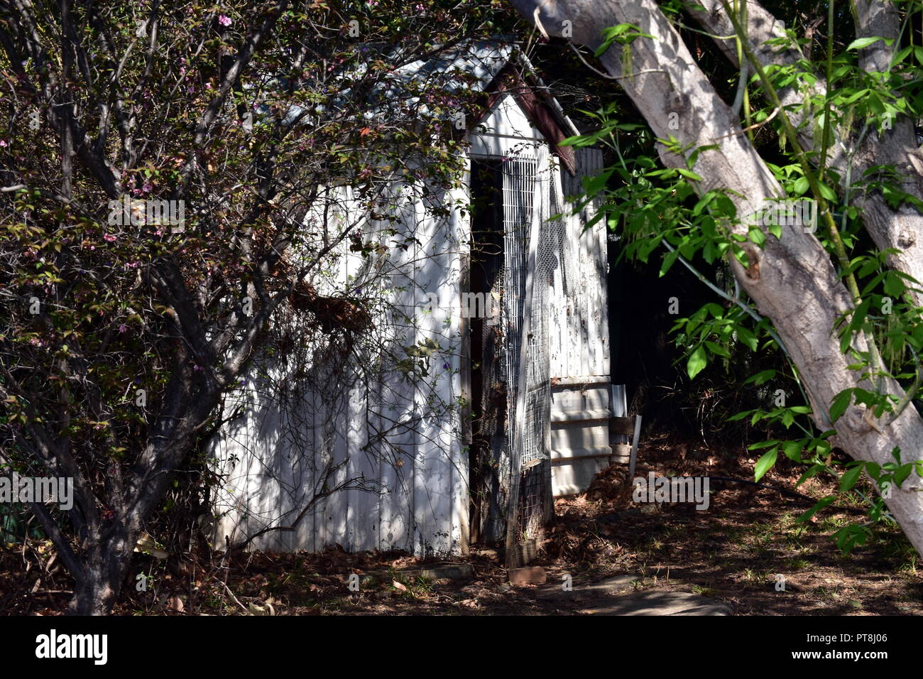 Vecchia tettoia del giardino Foto Stock