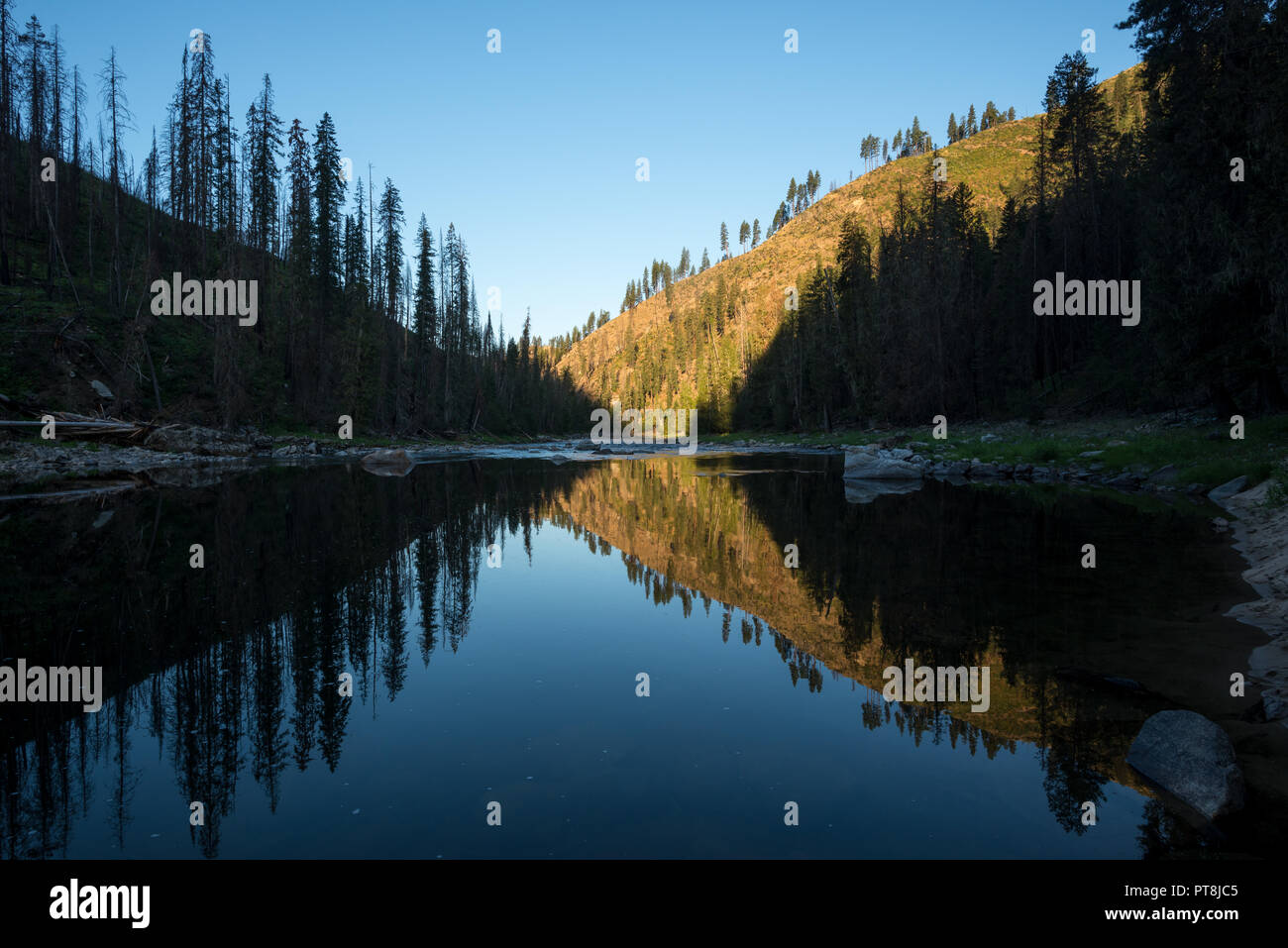 Fiume Selway riflessione, Idaho. Foto Stock