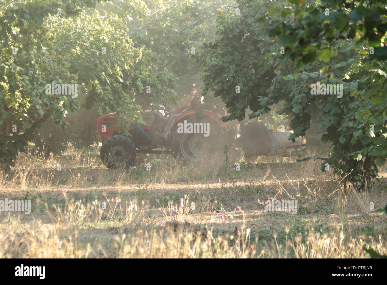 ragazzo disposto a lavorare sul trattore nel suo campo, adottando precauzioni per proteggere i polmoni Foto Stock