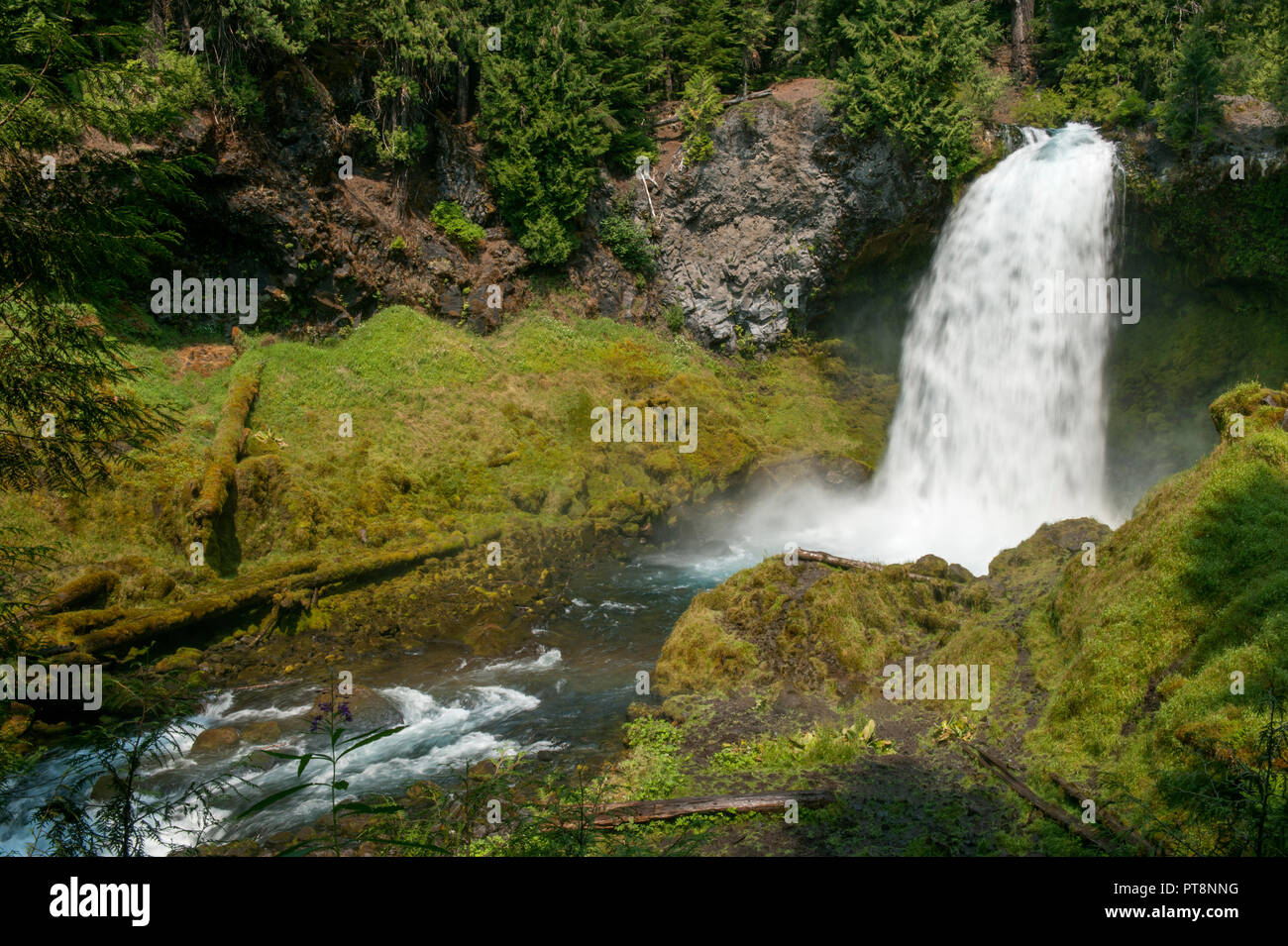 Sahalie cade su Oregon del fiume McKenzie, nella gamma a cascata Foto Stock