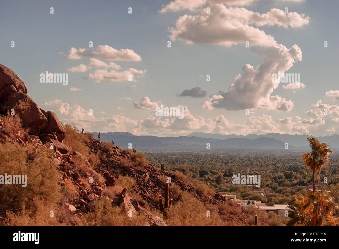 Vista di Phoenix o dai Tempe dalla Camelback Mountain in Arizona, Stati Uniti d'America Foto Stock