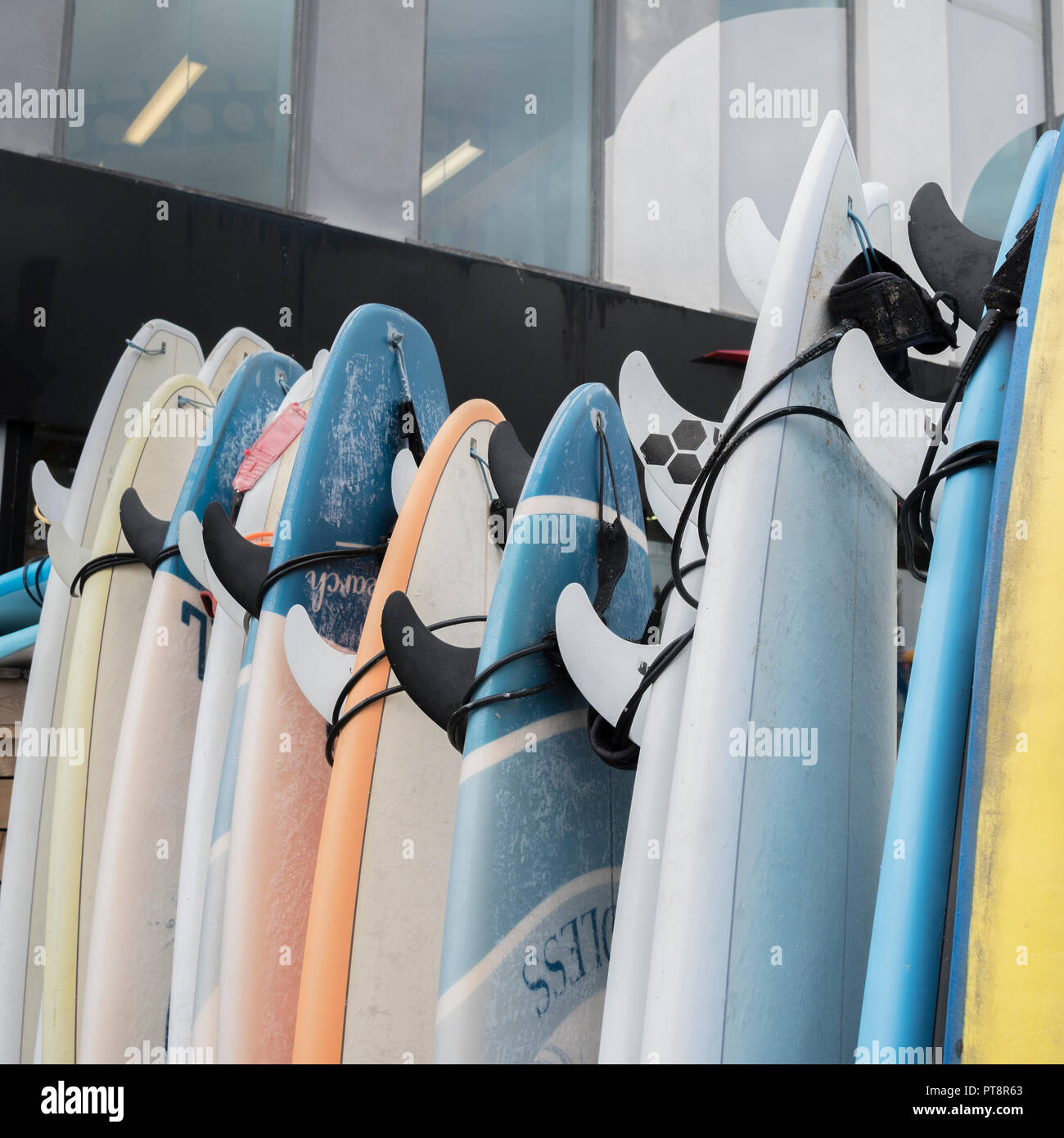 Fila di tavole da surf in vendita o in affitto a Newquay, Cornwall - home di Boardmasters Festival. Foto Stock