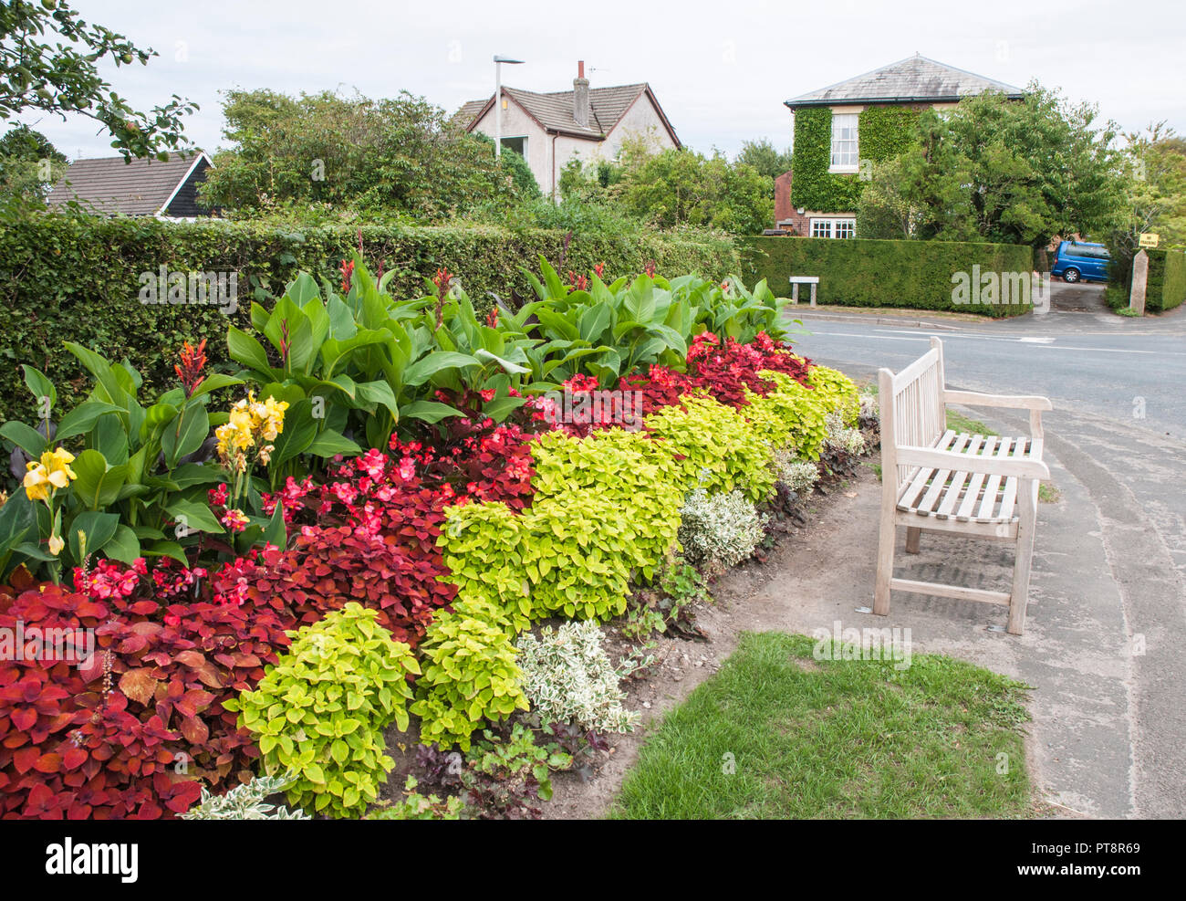 Strada di confine di fiori contenenti Coleus Heuchera Begonia semperflorens e canna. Foto Stock