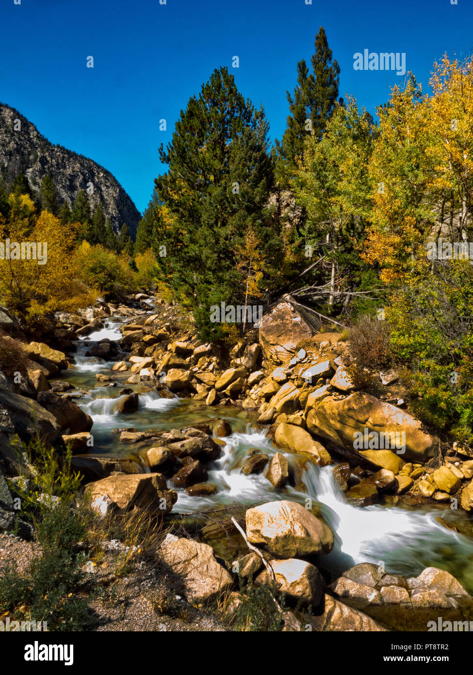 Acqua Bianca Creek in Pike e San Isabel National Forest in Colorado Foto Stock