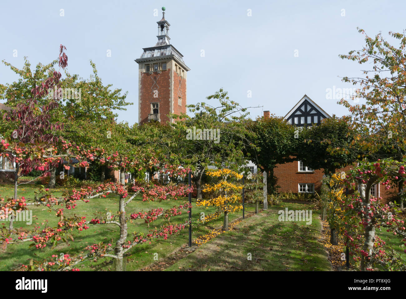 Alberi a spalliera con frutta a Tylney Hall e i giardini e una grand villa vittoriana e ora un elegante hotel di campagna, vicino a Hastings in Hampshire, Regno Unito Foto Stock