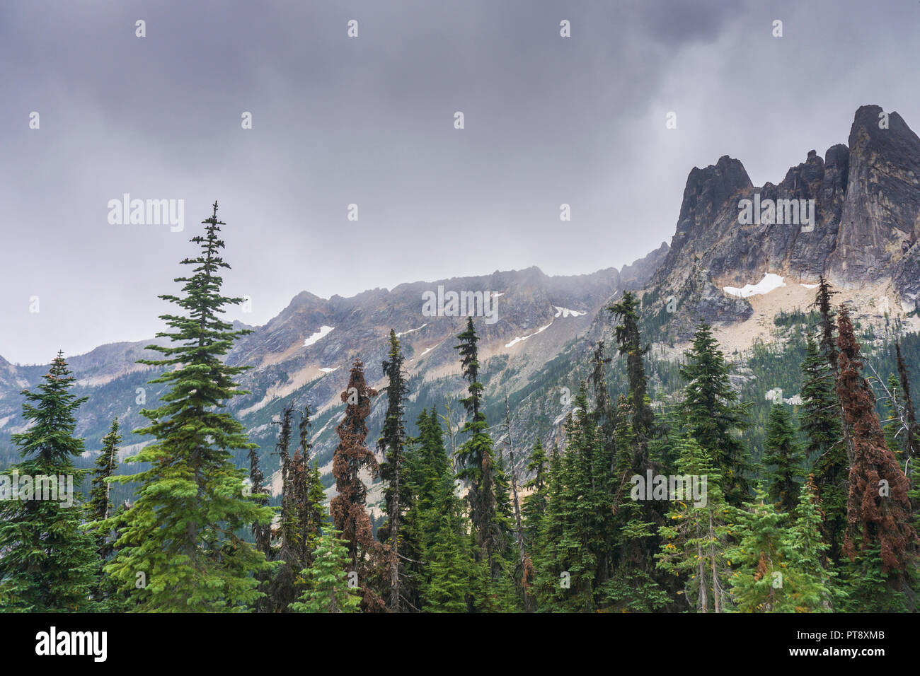 Liberty Bell e la montagna nel North Cascades, nello Stato di Washington Foto Stock