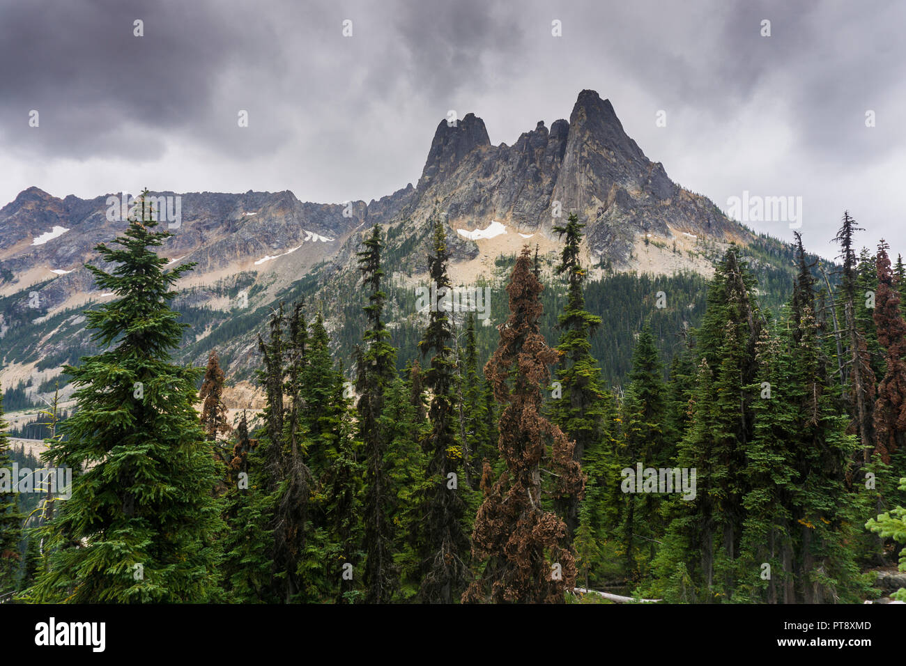 Liberty Bell e la montagna nel North Cascades, nello Stato di Washington Foto Stock