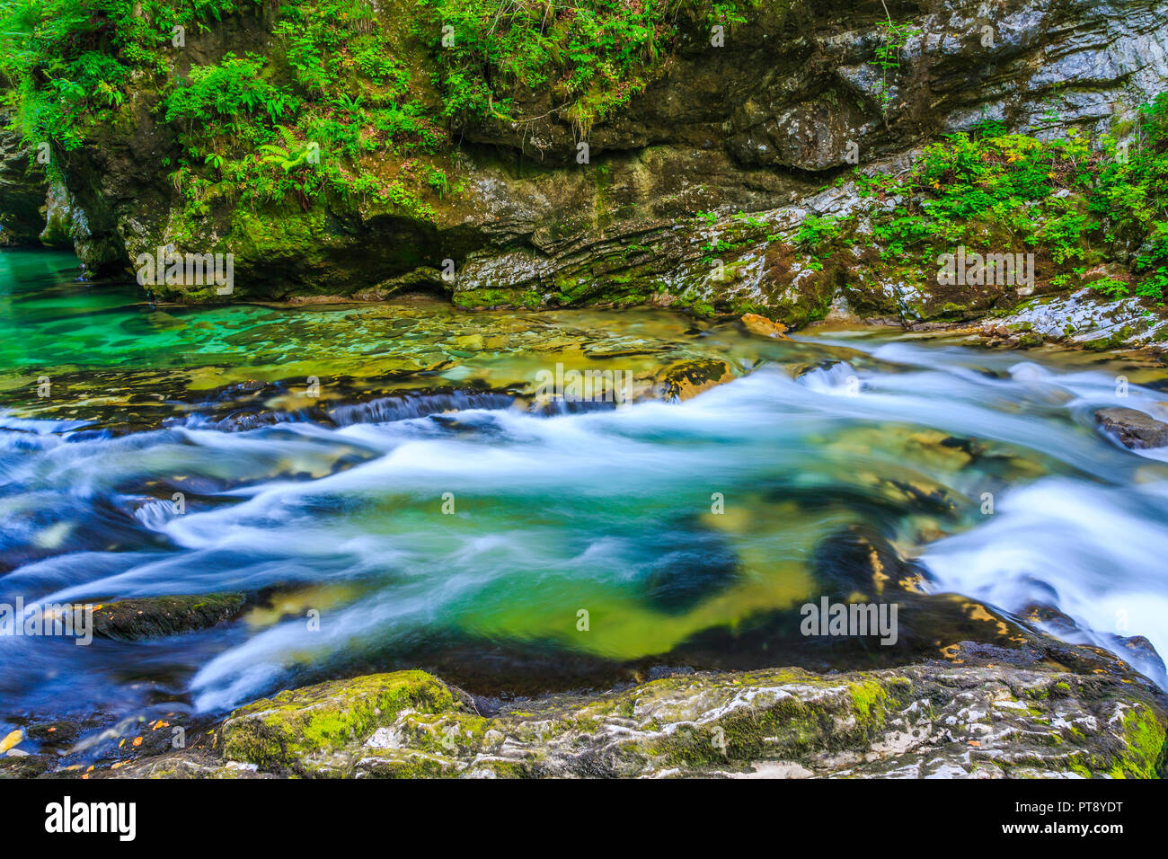 River in una gola. Foto Stock