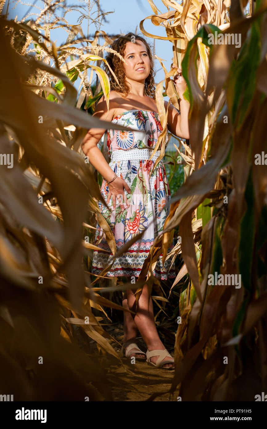 Ritratto di una bella donna ricci in posa con il mais in cornfield d'estate Foto Stock