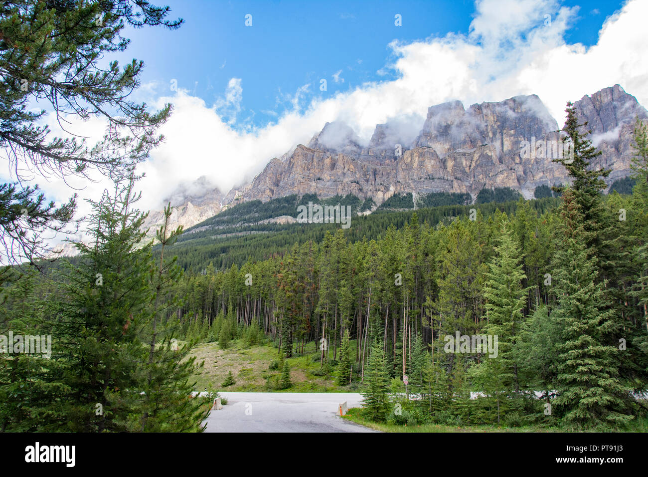 Vista stradale del Canada occidentale. Un sacco di alberi di pino, rocce e montagne. Foto Stock