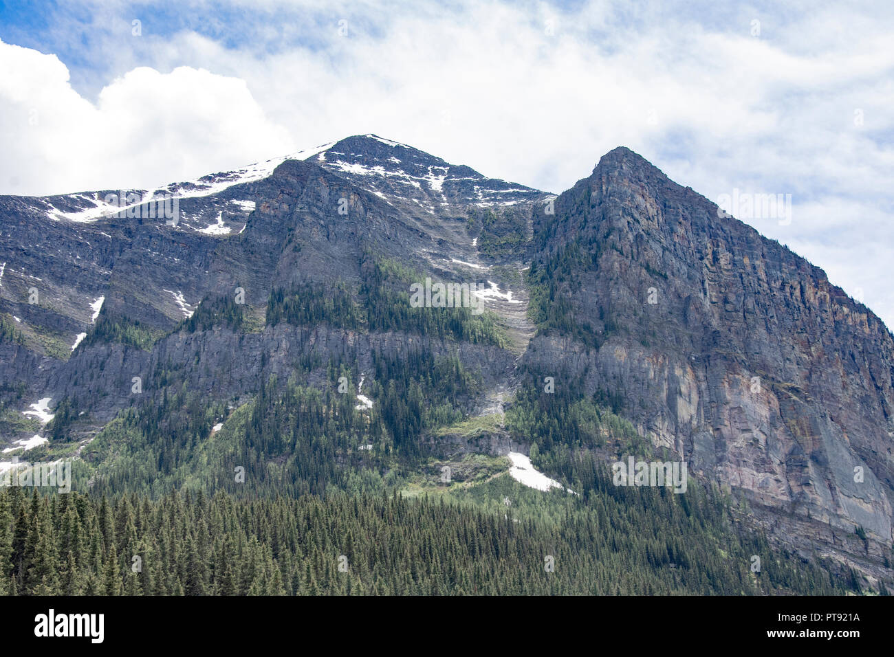 Vista stradale del Canada occidentale. Un sacco di alberi di pino, rocce e montagne. Foto Stock