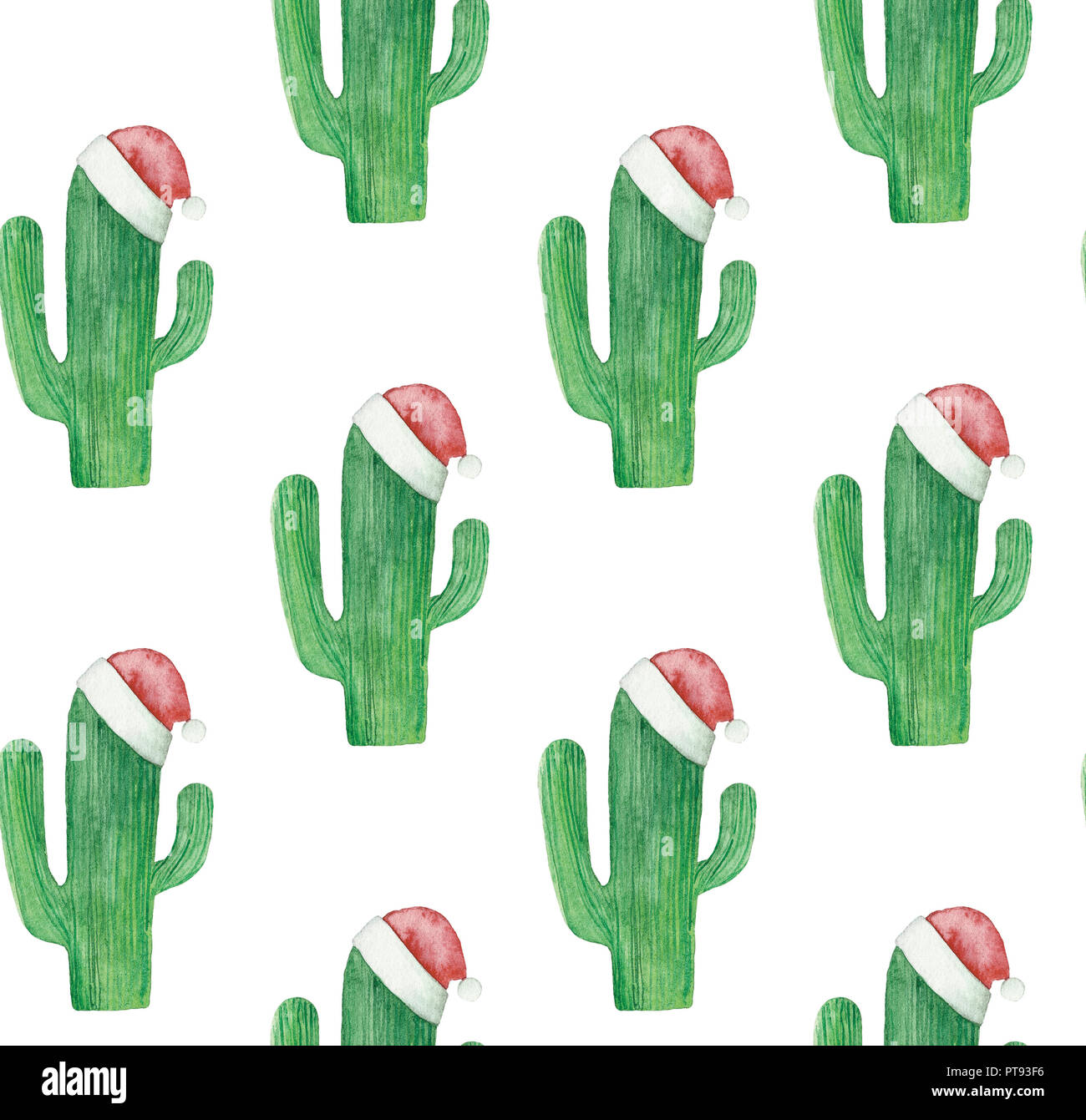Cactus di Natale pattern. Verde sullo sfondo di cactus Foto Stock