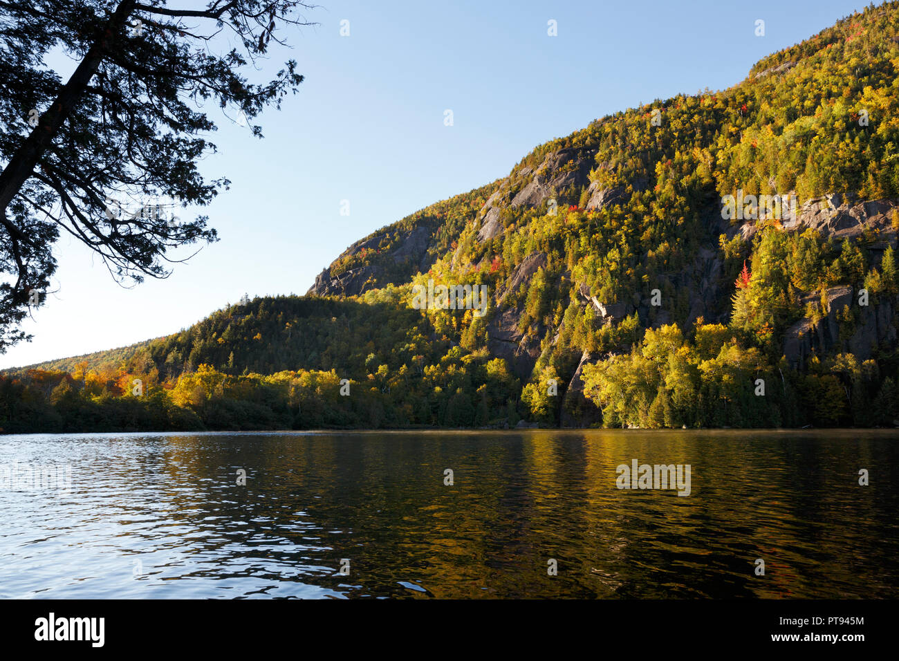 Caduta delle foglie nelle alte cime regione del Adirondacks, New York, Stati Uniti d'America Foto Stock