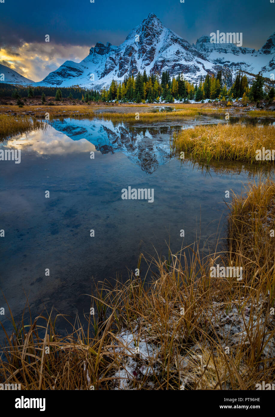 Il Monte Assiniboine Provincial Park è un parco provinciale in British Columbia, Canada, situato intorno al Monte Assiniboine. Il parco è stato istituito nel 1922. S Foto Stock