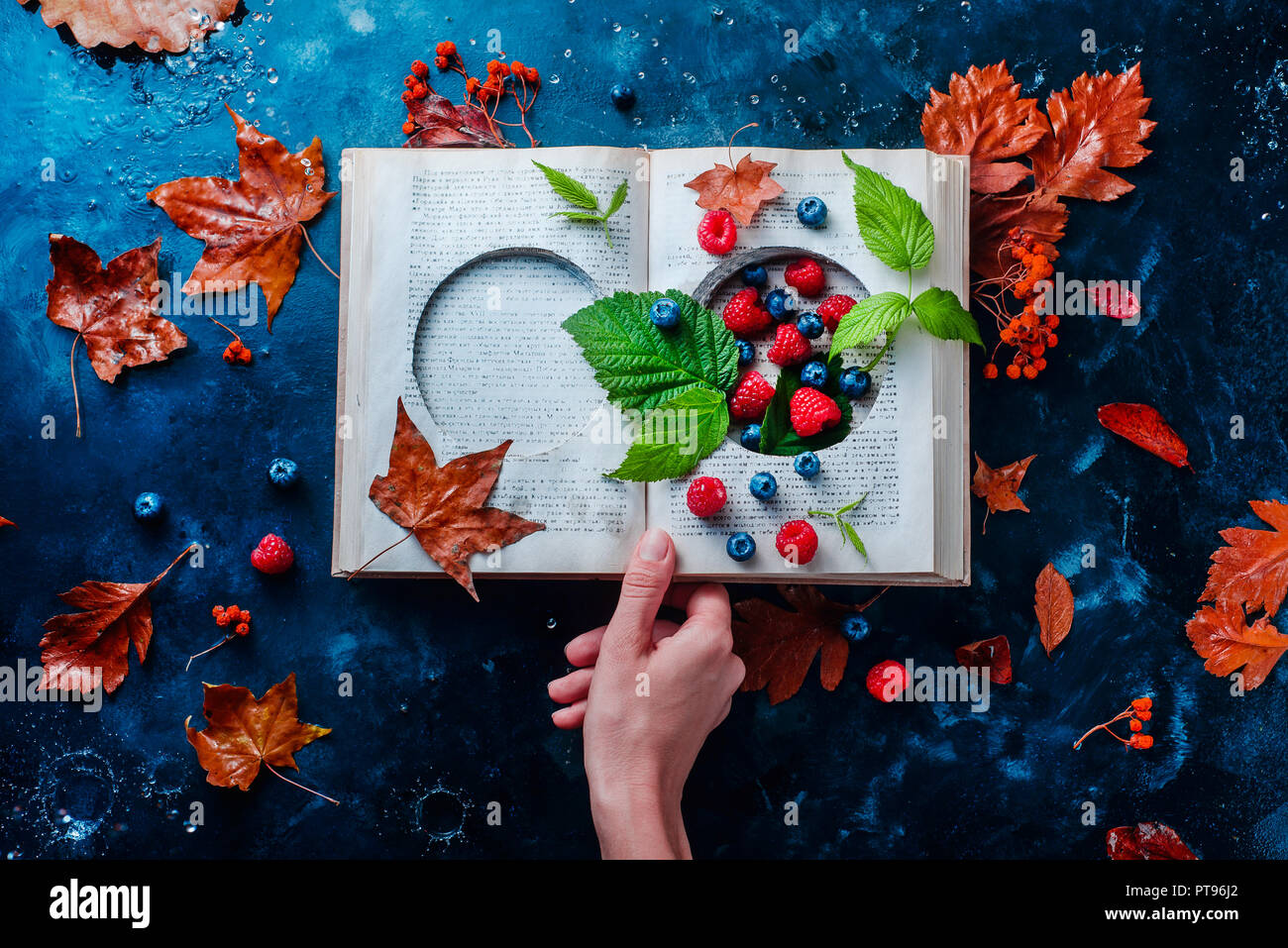 Segreto libro di storage con la scorsa estate bacche sotto una pioggia d'autunno. Preservare le gioie fugaci concetto con spazio di copia Foto Stock