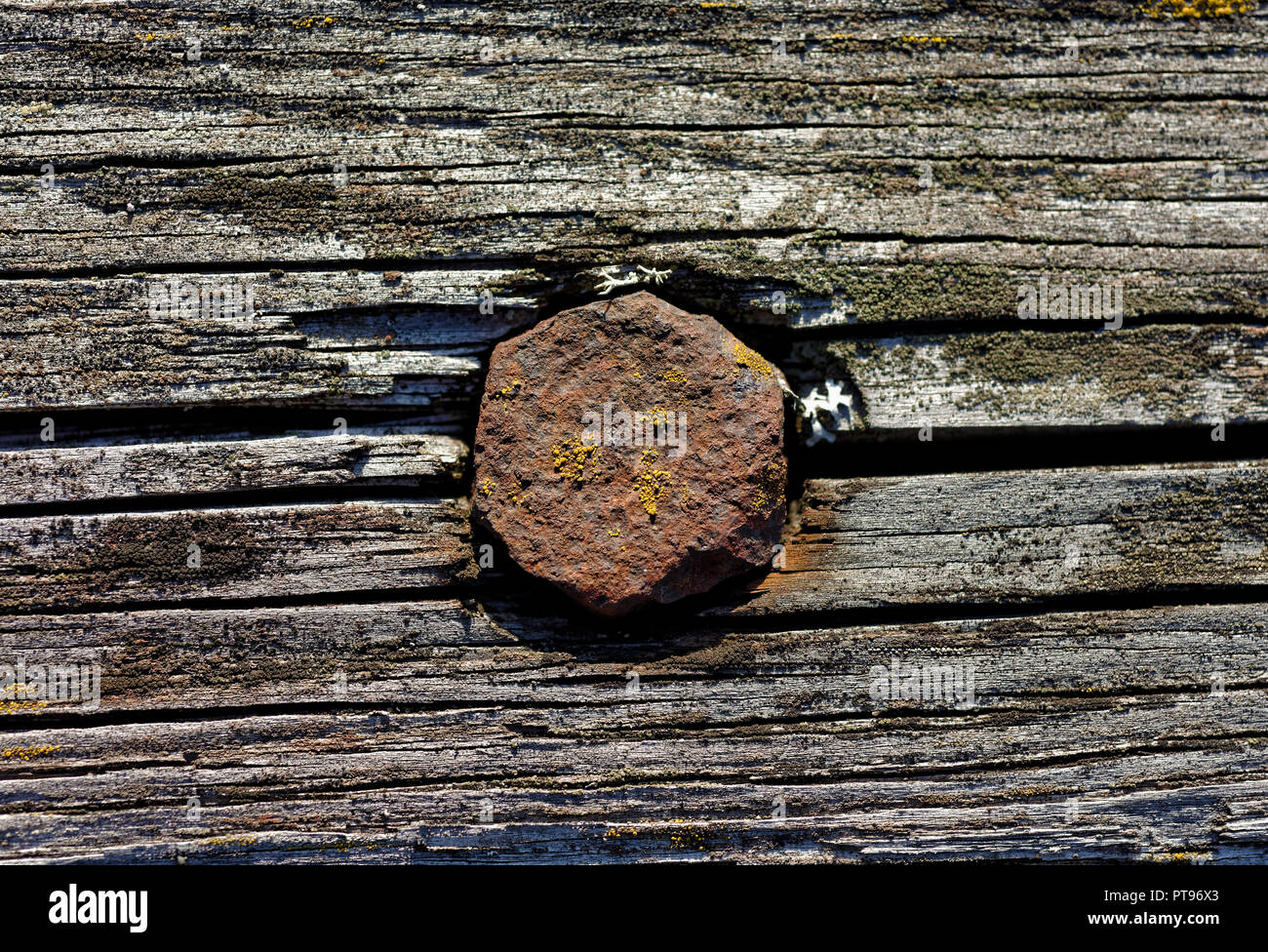 Gli sfondi e texture: vite arrugginito in vecchio weathered tavolato in legno Foto Stock