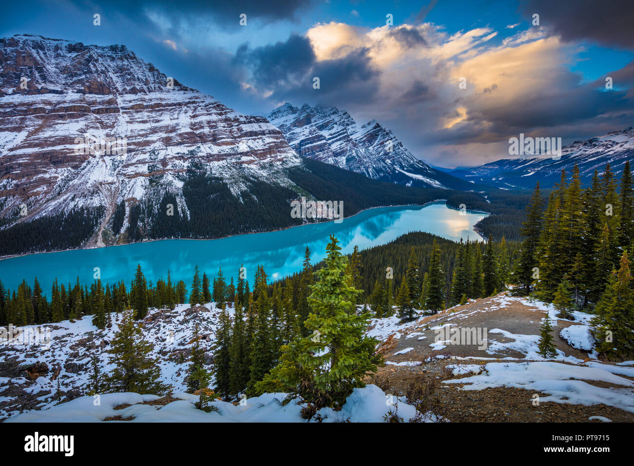 Il Lago Peyto è un ghiacciaio-lago alimentato nel Parco Nazionale di Banff nelle Montagne Rocciose Canadesi. Il lago stesso è facilmente accessibile dall'Icefields Parkway. Foto Stock