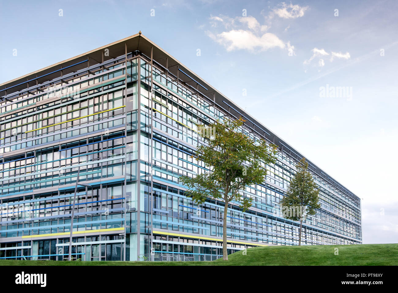 Grande, alto e moderno edificio di uffici con alberi in primo piano. Foto Stock