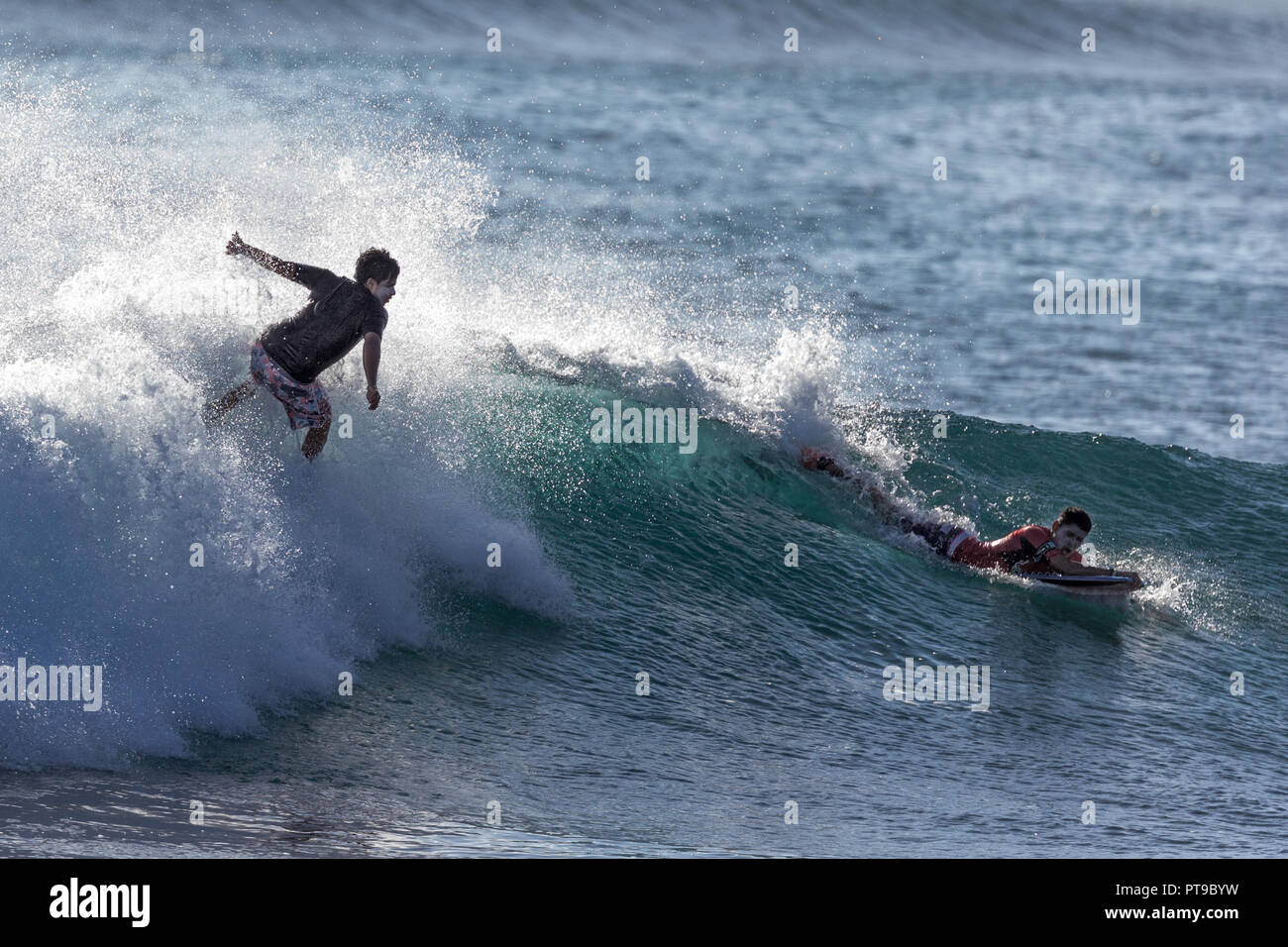 Surfer a Tongo Reef vicino a Puerto Baquerizo Moreno, San Cristobal Island, Isole Galapagos Ecuador, Foto Stock