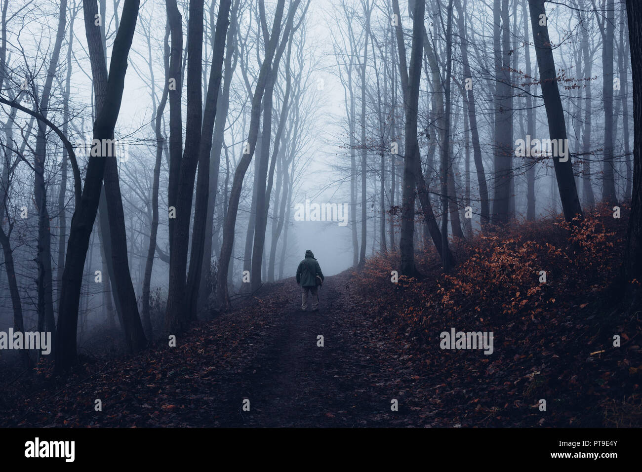 Uomo in piedi in una scura foresta misty Foto Stock