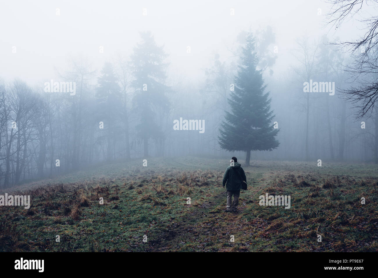 Un giovane uomo sorge nella nebbia su un prato di fronte a una foresta Foto Stock
