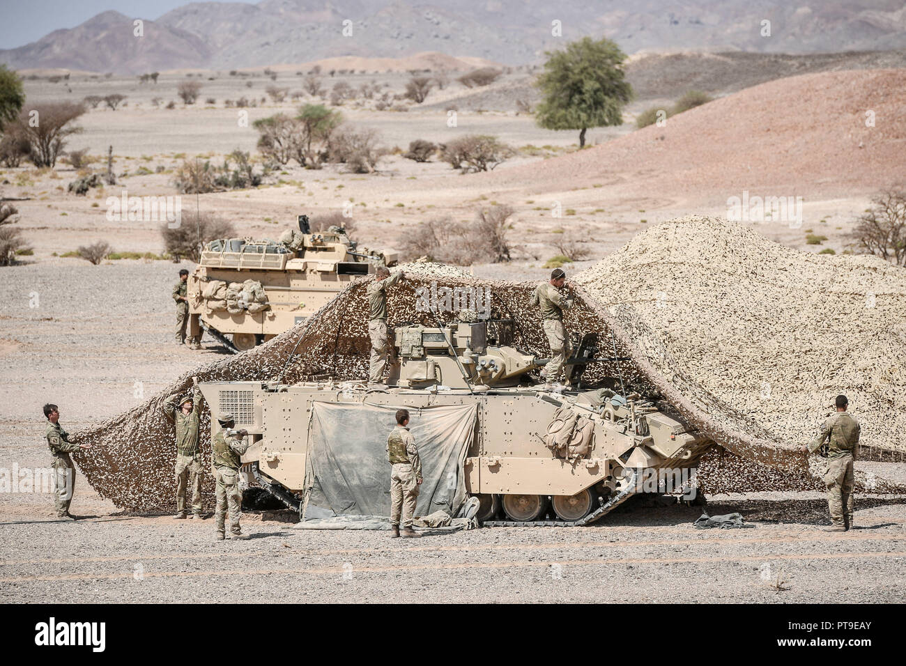 Un Guerriero di combattimento blindati equipaggio del veicolo preparare per mimetizzare il loro carro in Oman deserto, dove le forze del Regno Unito stanno prendendo parte ad un mese di esercizio, Saif Sareea 3. Foto Stock