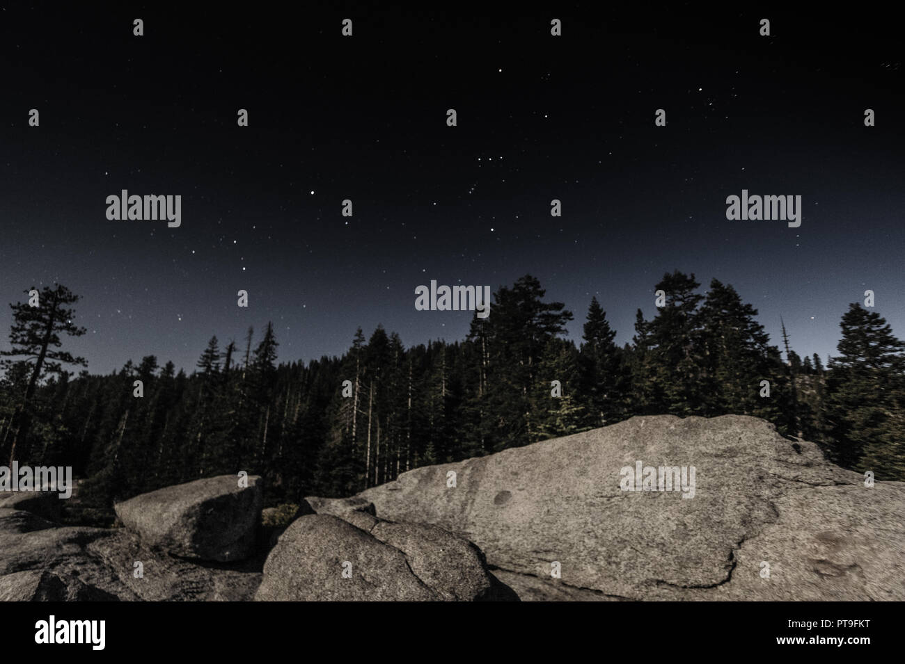 Un colpo di te nightsky, che mostra la costellazione di Orione, con alberi in primo piano essendo illuminata dalla luna. Yoseminte National Park, CA, Stati Uniti d'America. Foto Stock