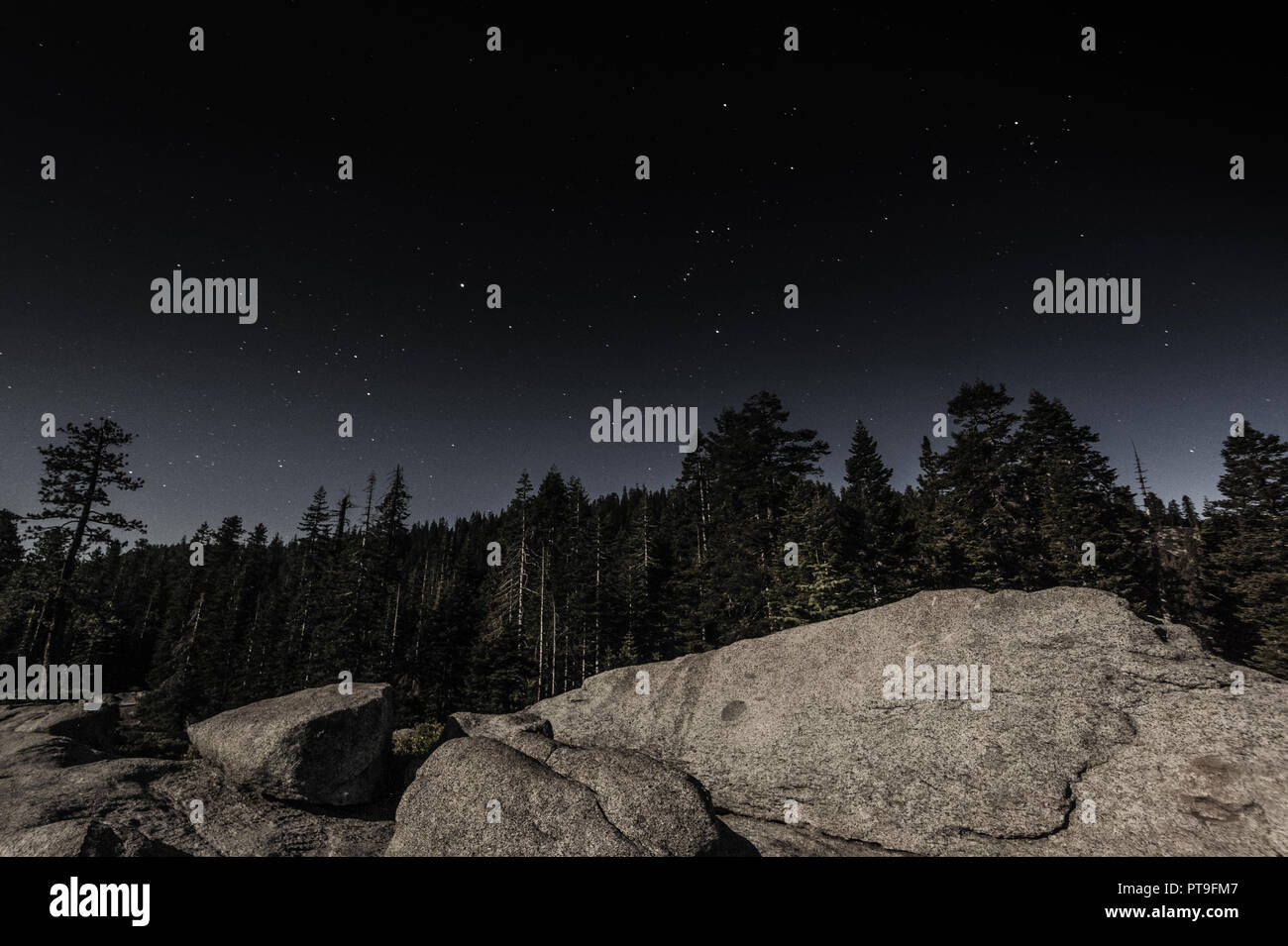 Un colpo di te nightsky, che mostra la costellazione di Orione, con alberi in primo piano essendo illuminata dalla luna. Yoseminte National Park, CA, Stati Uniti d'America. Foto Stock