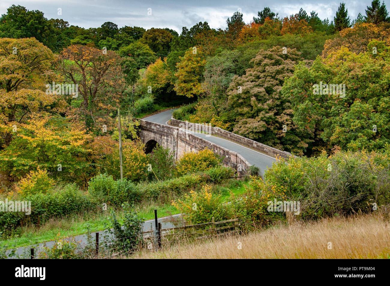 Ponte Doeford, Chipping. 8 Ott 2018. Regno Unito: Meteo i colori autunnali a Doeford ponte sopra il fiume Hodder, vicino a Chipping, Preston, Lancashire. Foto Stock