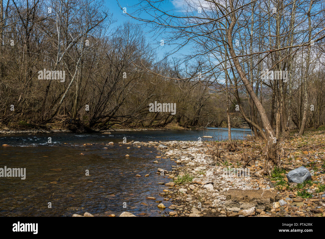 Shenandoah river, Virginia Foto Stock