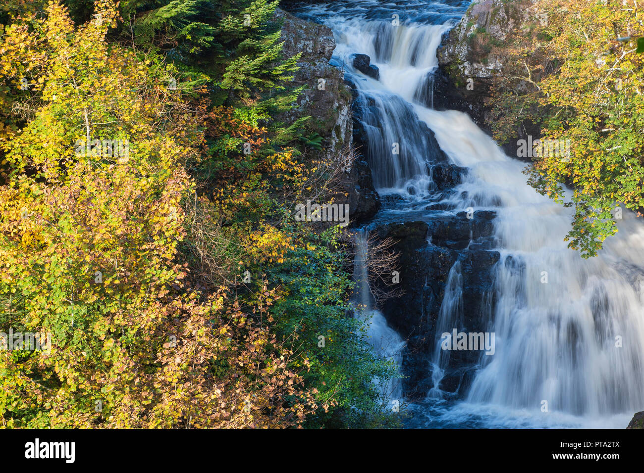 Reekie Linn cascata sul fiume Isla, al Ponte di Craigisla, Angus, Scozia. Foto Stock