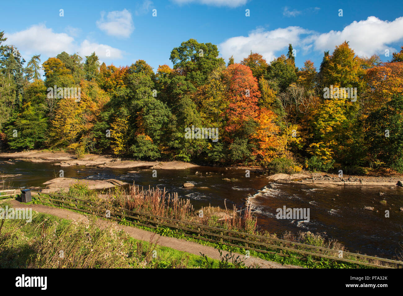 I colori autunnali sul fiume Ericht, Blairgowrie, Perthshire Scozia. Foto Stock