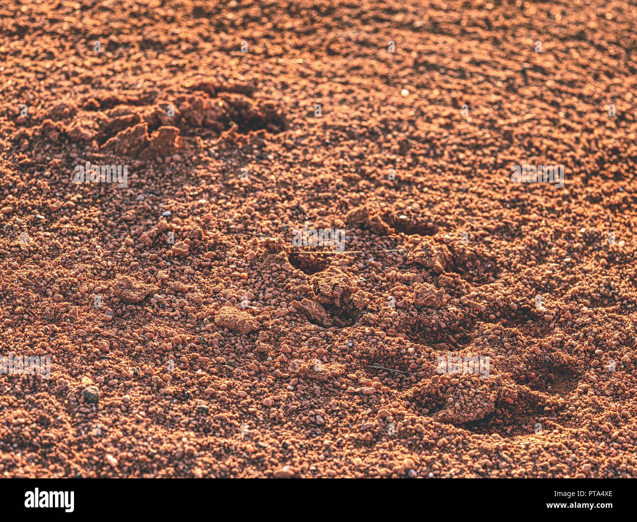 Footprint del calcio tradizionale bitte bitte cassoncino di pulizia a secco di argilla rossa di corte. Dettaglio profondo dello sport scarpe da calcio impronta in un campo da tennis. Foto Stock