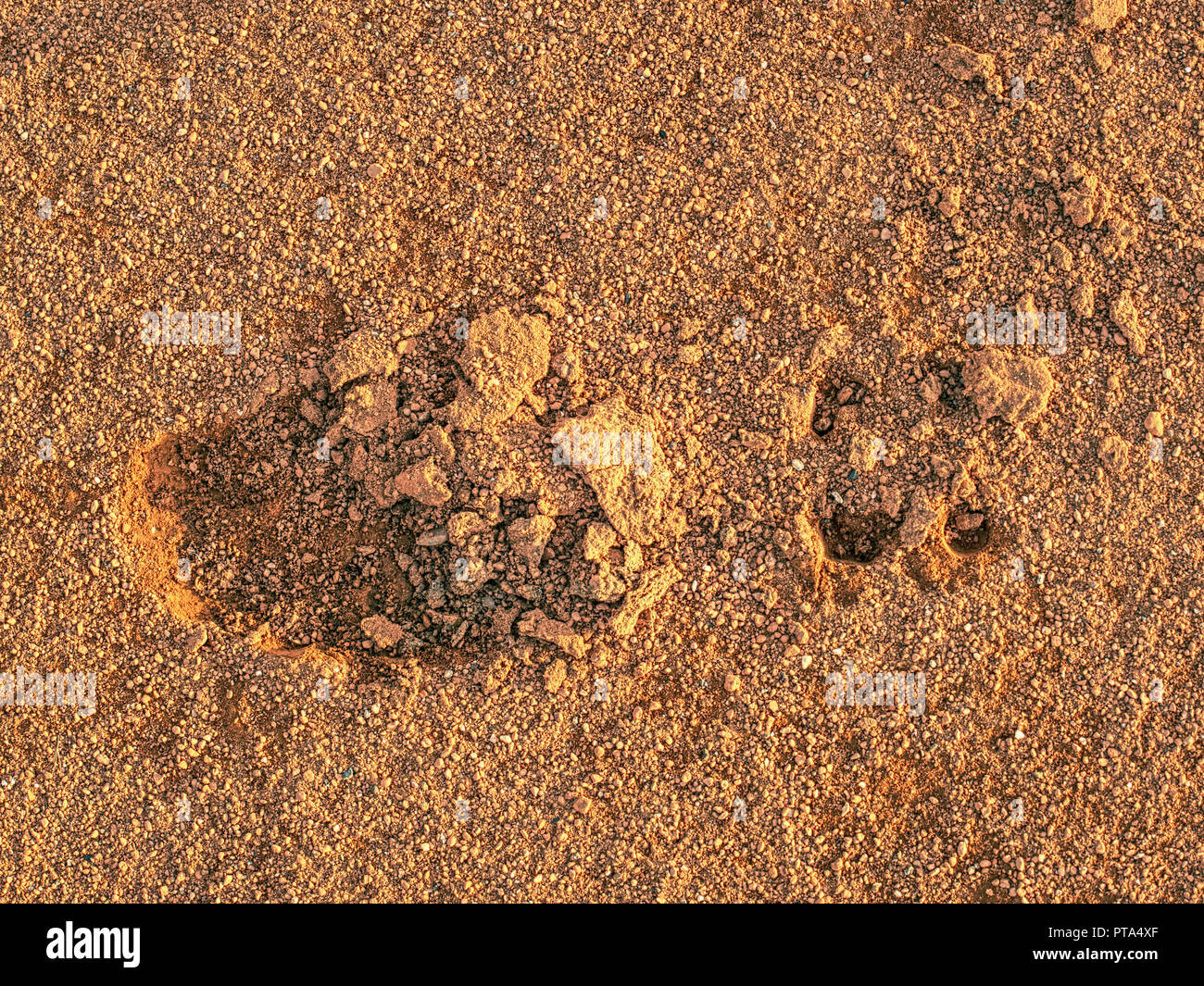 Footprint del calcio tradizionale bitte bitte cassoncino di pulizia a secco di argilla rossa di corte. Dettaglio profondo dello sport scarpe da calcio impronta in un campo da tennis. Foto Stock