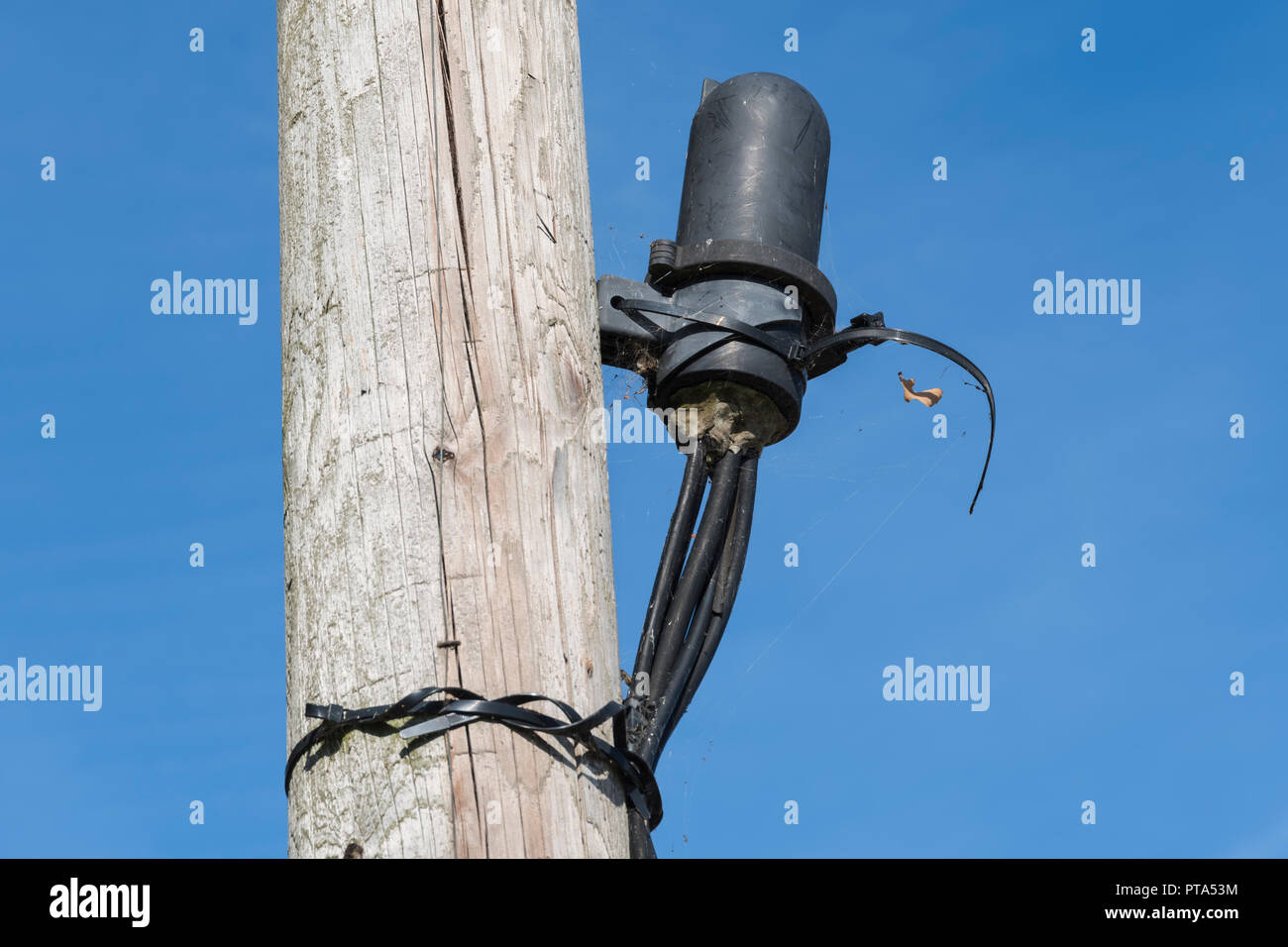 Connettore FTTP o blocco divisore per la fibra a internet a banda larga, attaccato ad un BT telegrafo polo in Inghilterra, Regno Unito. Foto Stock