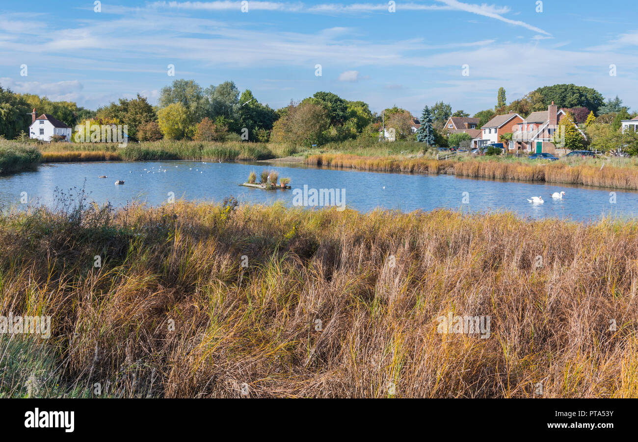 Piccolo lago a Brook Meadow Riserva naturale in autunno a Peschici, Hampshire, Inghilterra, Regno Unito. Foto Stock