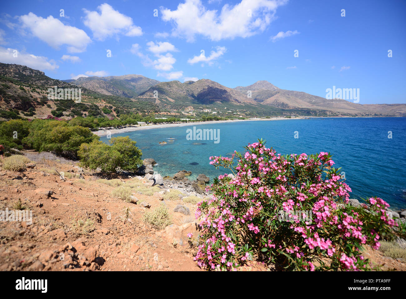 Paesaggio tipico dei paesi del bacino del mediterraneo Foto Stock